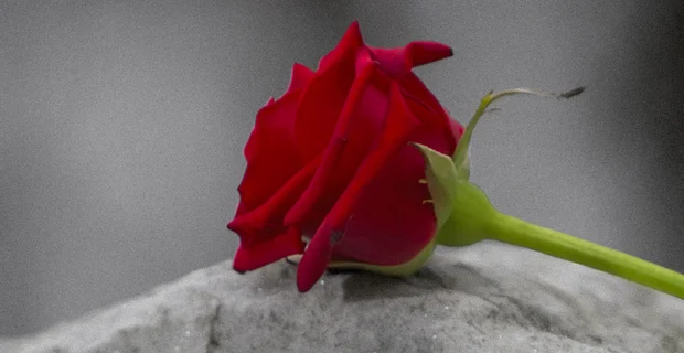 Как помочь человеку пережить потерю любимого