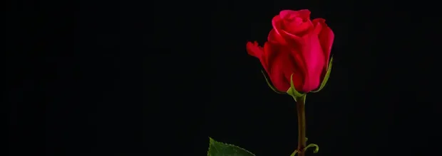 Как помочь человеку пережить потерю любимого